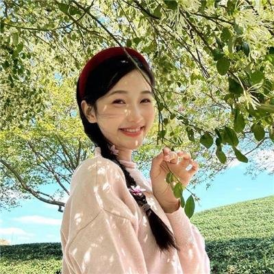 小迪兹的完美观念